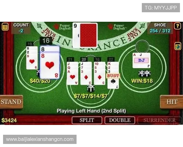 百家乐怎么玩最简单：初学者入门指南轻松掌握百家乐玩法技巧