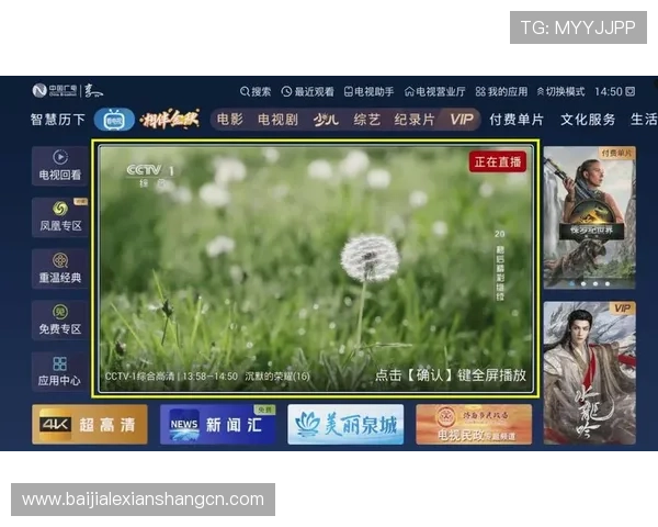 真人视讯登录入口安全稳定，轻松畅享高清娱乐体验
